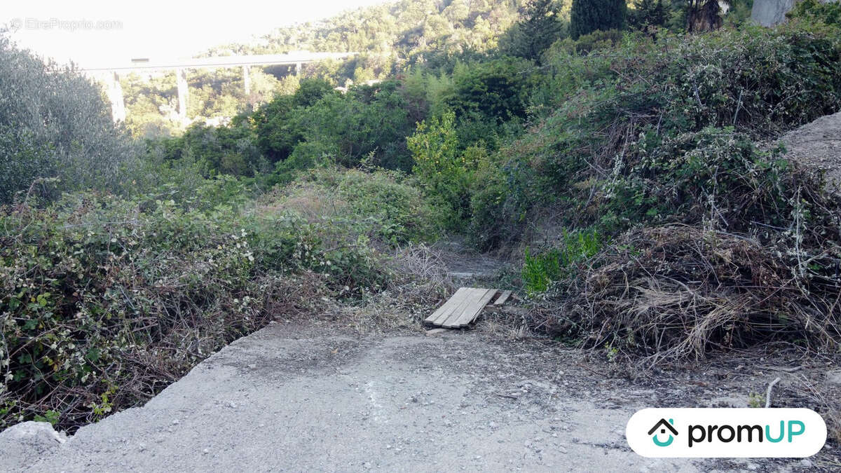 Terrain à SAINTE-AGNES