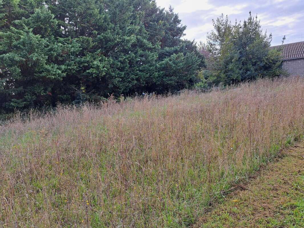 Photo 8 - Maison à MONTIGNY