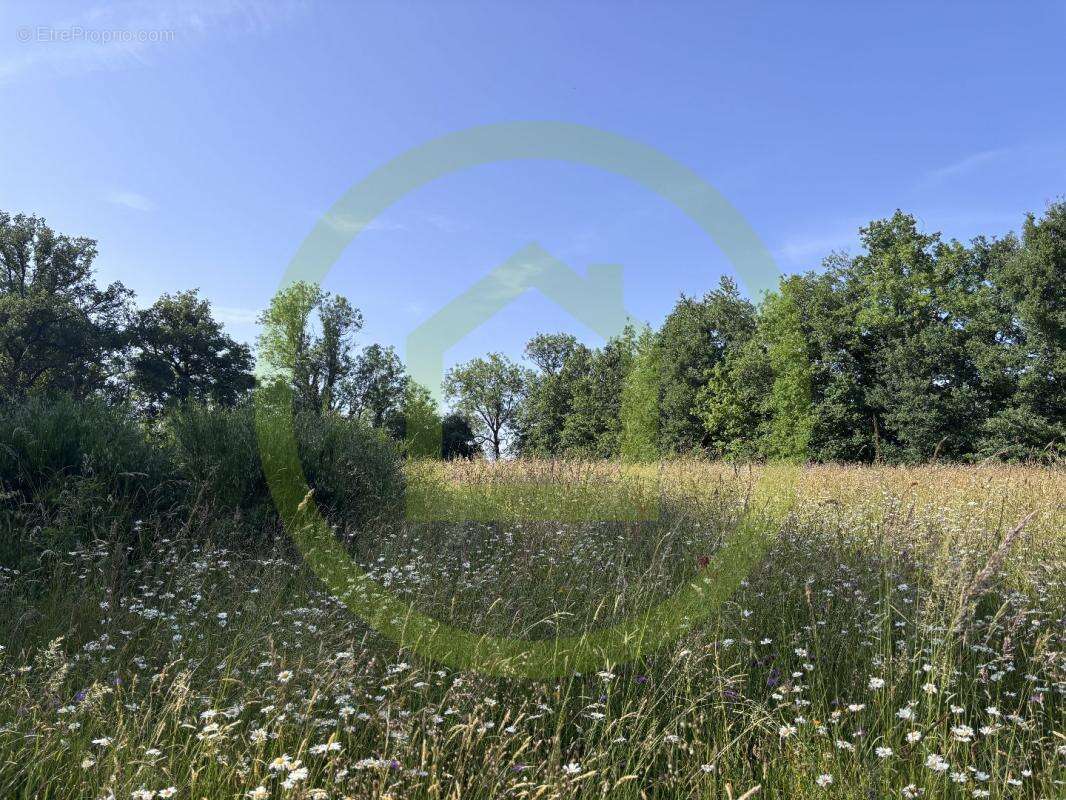 Maison à CHENERAILLES