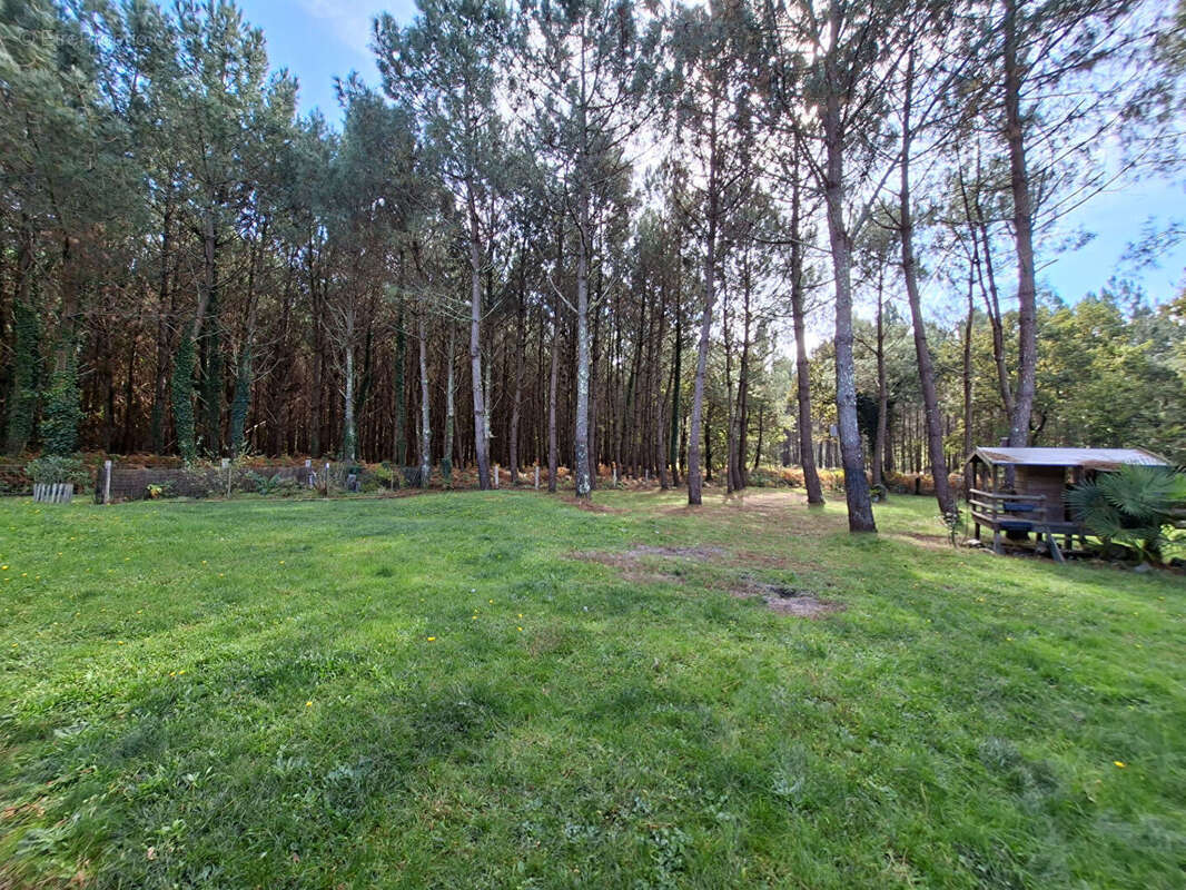 Maison à MOLIETS-ET-MAA