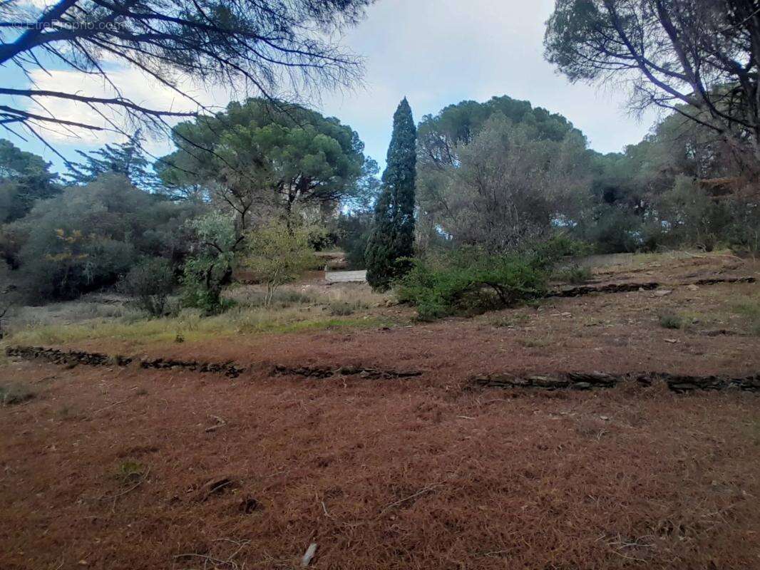 Propriété arborée avec vu panoramique sur la mer et la nature - photo 25
