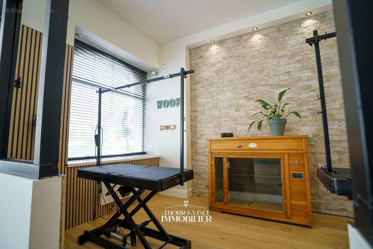 Local Professionnel- 55 m2 - Altkirch - photo 11