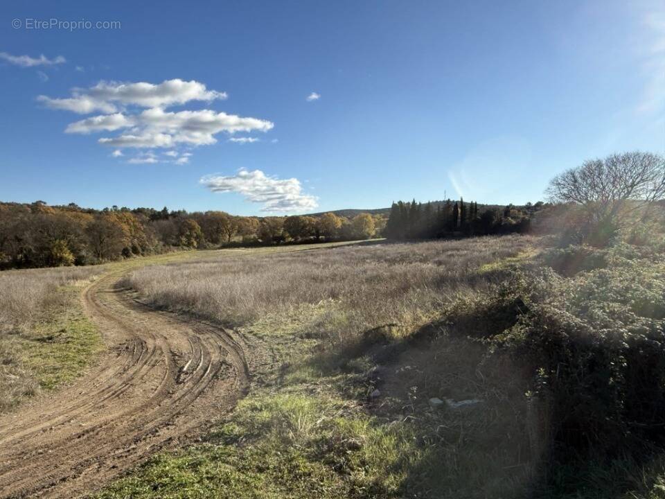 Terrain à MONTAGNAC
