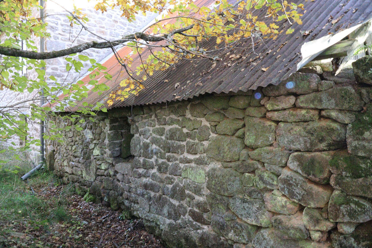 Autre à SAINT-AUGUSTIN