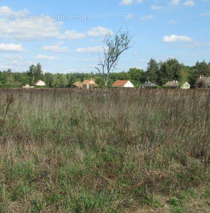 Terrain à CHAUMONT-SUR-THARONNE
