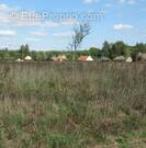 Terrain à CHAUMONT-SUR-THARONNE