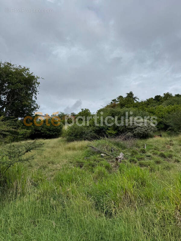 Terrain à SAINTE-ANNE