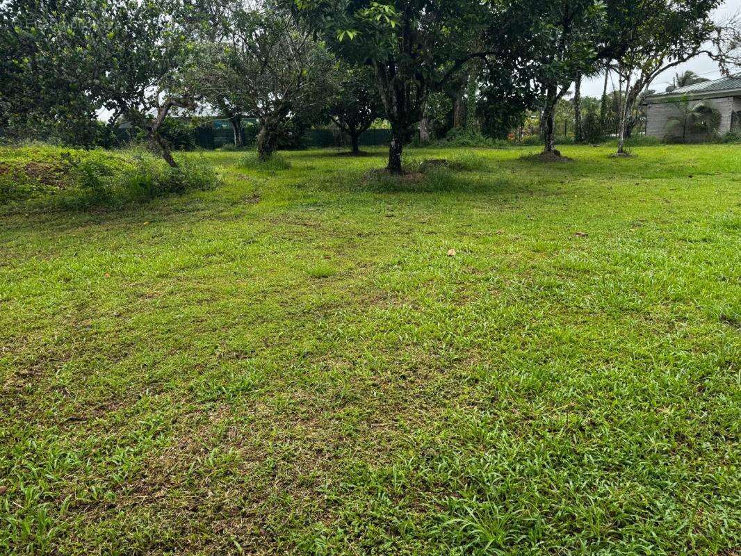 Terrain à MATOURY