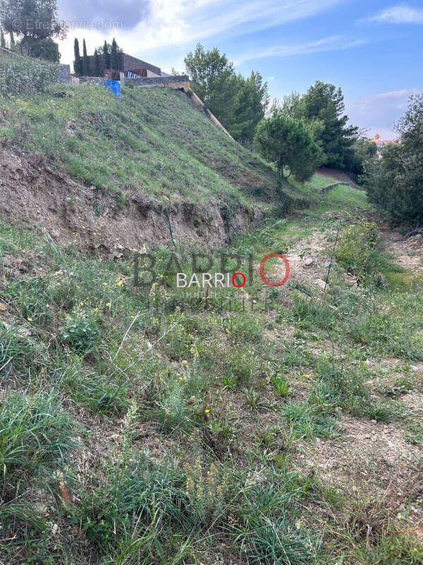 Terrain à PORT-VENDRES
