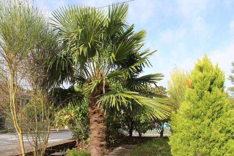 Maison à SAINT-REMY-EN-MAUGES
