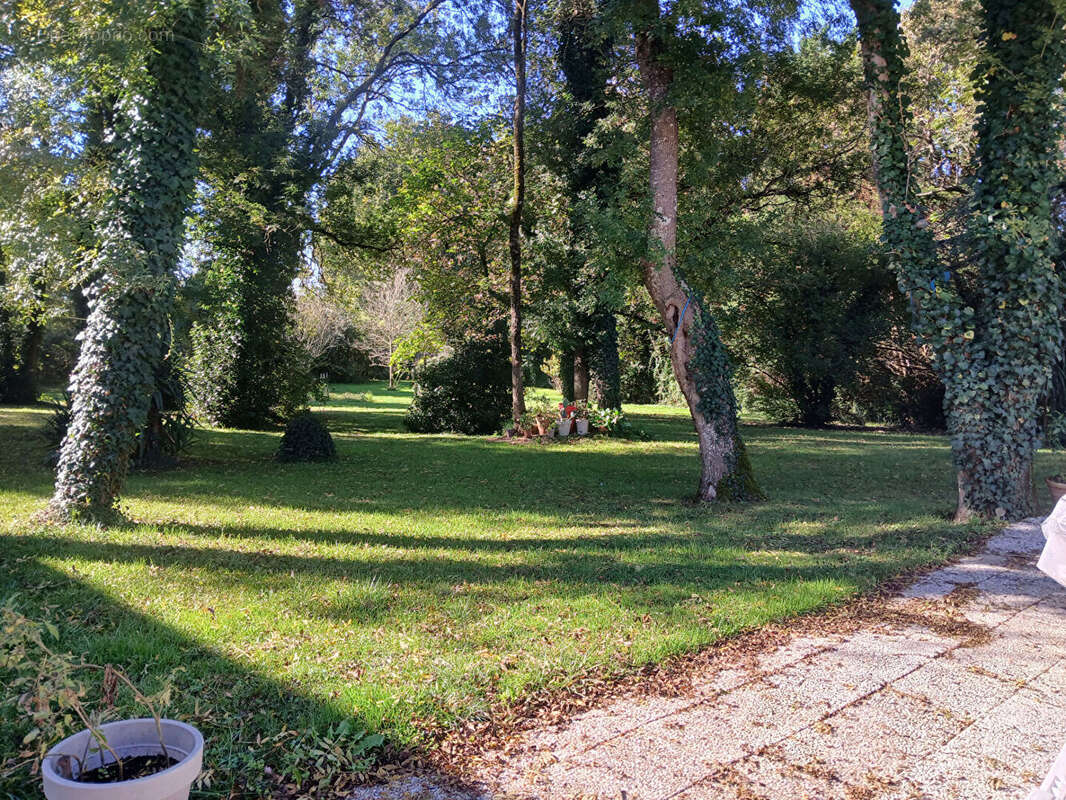 Maison/villa 185m² et garages sur 4097m²- st sulpice de royan - photo 10