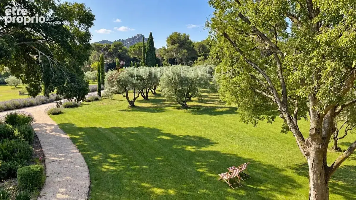 Mas contemporain avec piscine et champ de plus de 60 oliviers à Saint-Rémy-de-Provence - photo 14