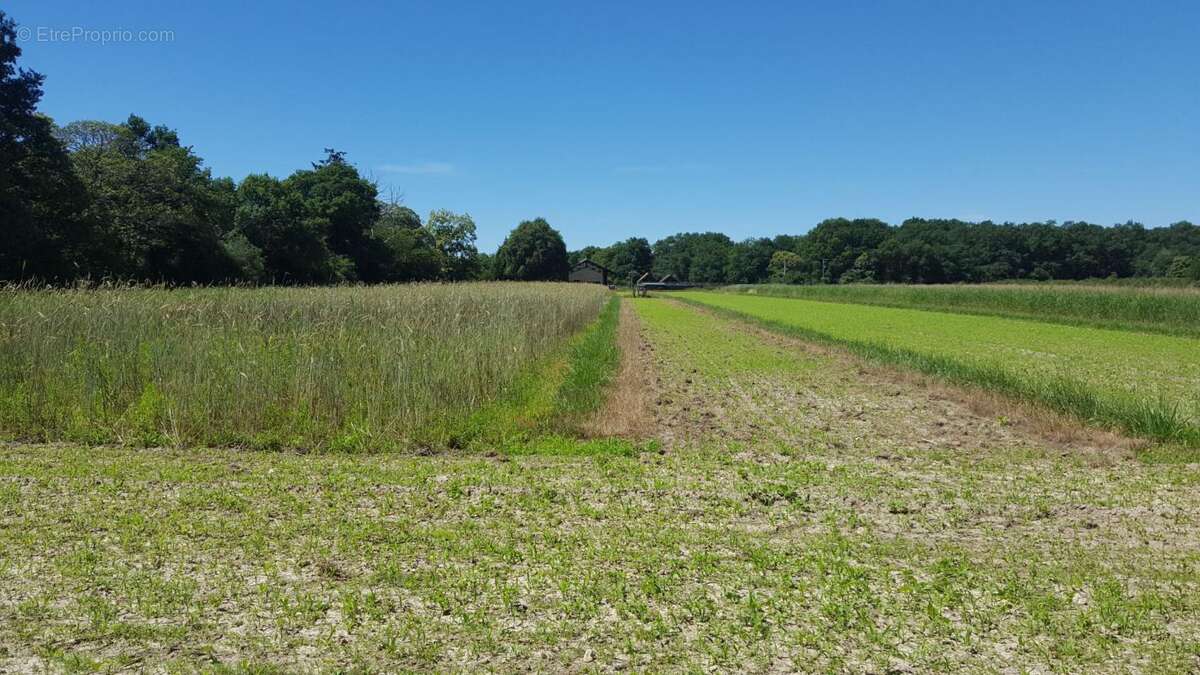 Maison à BRINON-SUR-SAULDRE