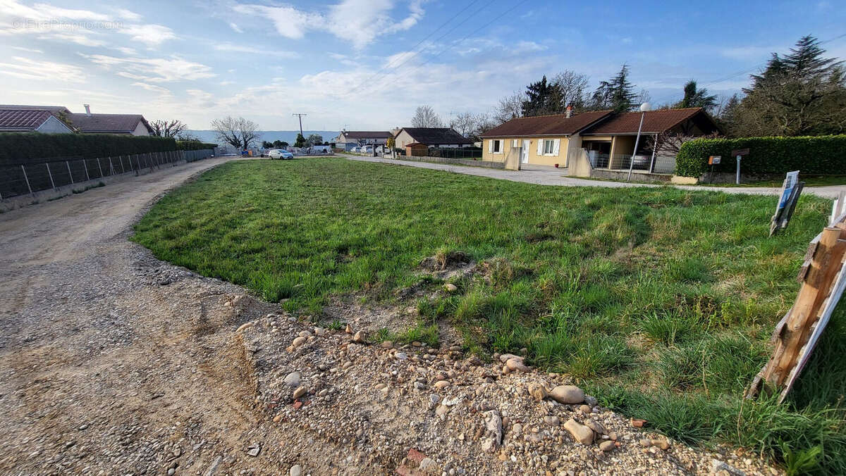 Terrain à BEAUREPAIRE