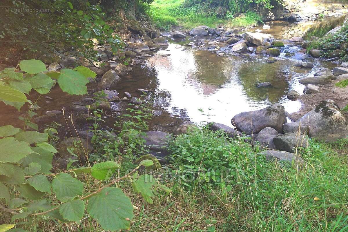 Terrain à SAINT-CENERI-LE-GEREI