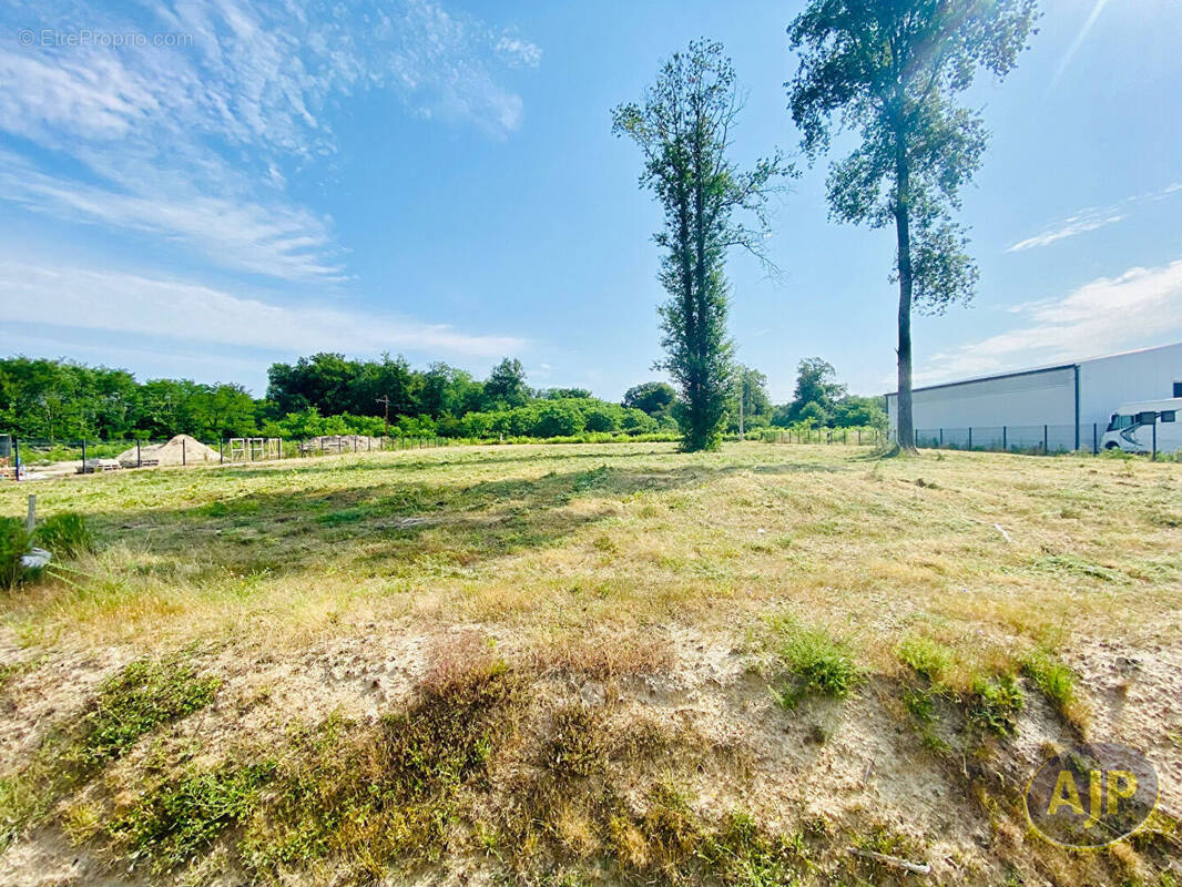 Terrain à LESPARRE-MEDOC