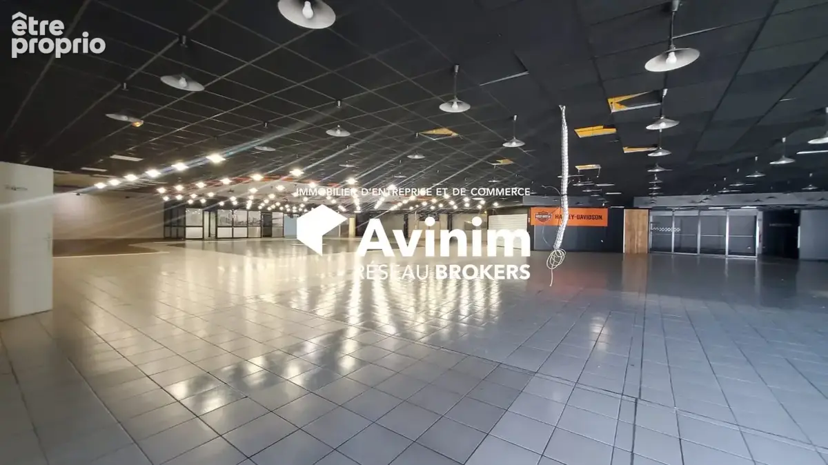 Commerce 1 419 m² à vendre à Annecy (74000) - photo 6