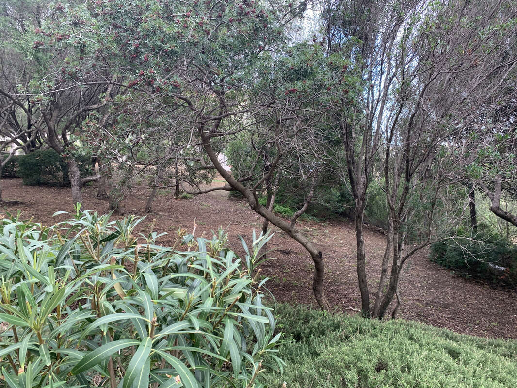 Appartement à PROPRIANO