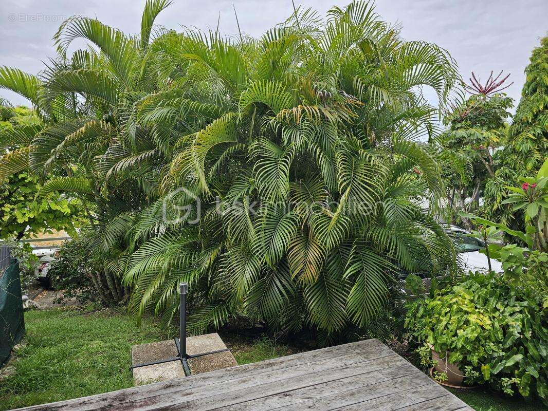 Maison à SAINTE-ANNE