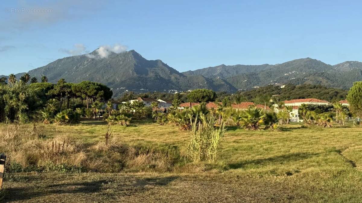 Appartement à POGGIO-MEZZANA