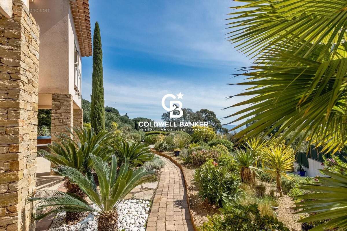 Maison à LE LAVANDOU