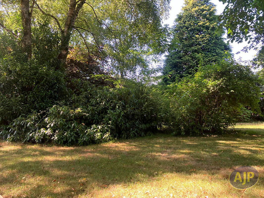 Terrain à bâtir - photo 2
