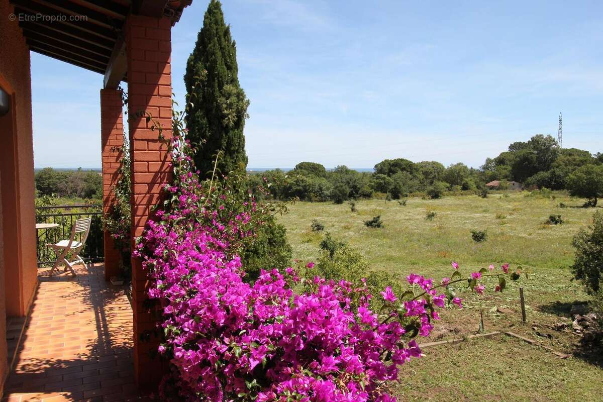 Photo 3 - Maison à ARGELES-SUR-MER
