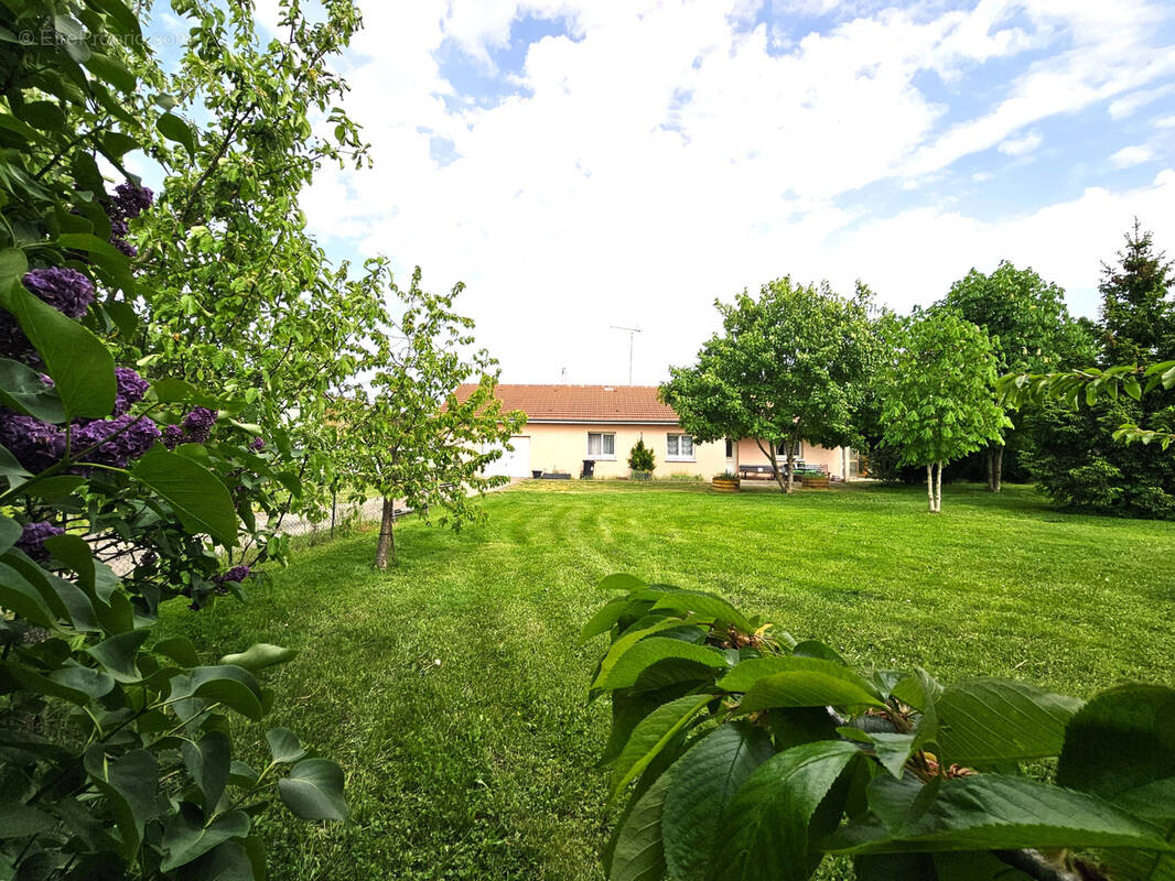 Maison à SERANVILLE