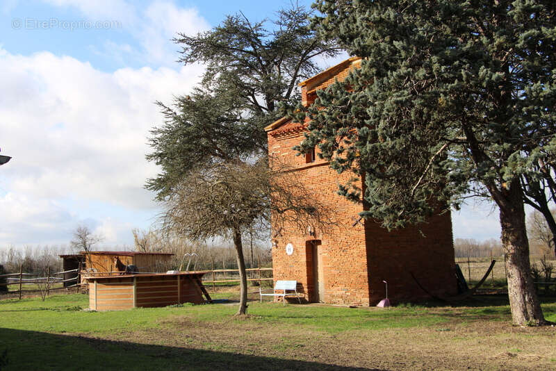 Maison à GRISOLLES