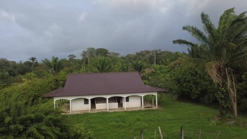 Terrain à MANA