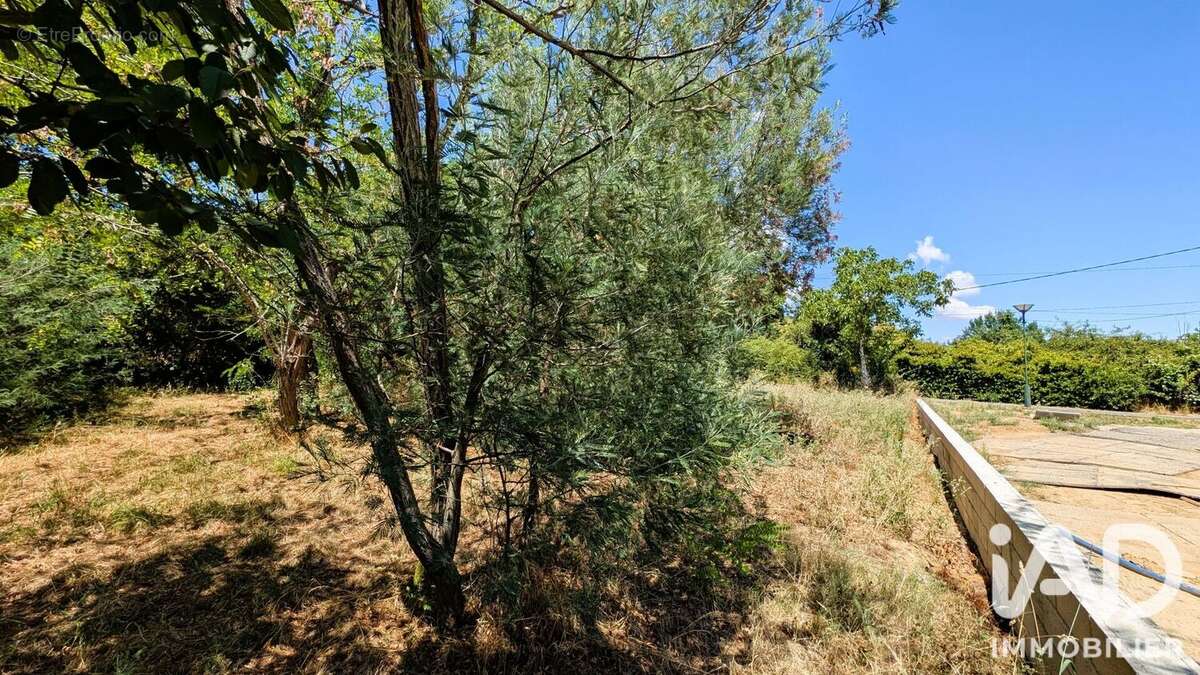 Terrain 550 m² à Bruguieres  - photo 4