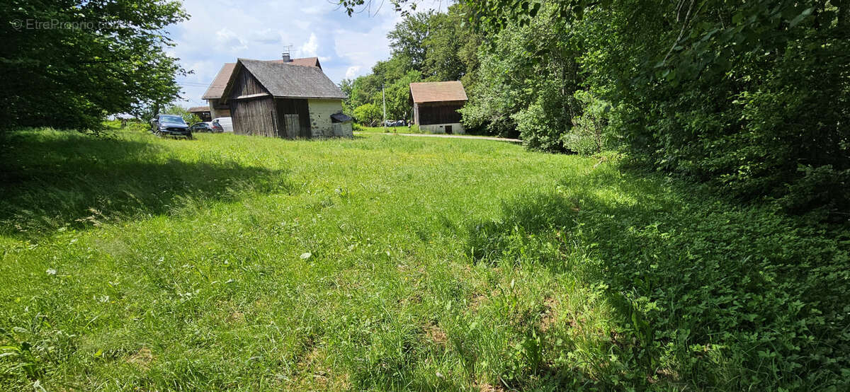 Terrain à THORENS-GLIERES
