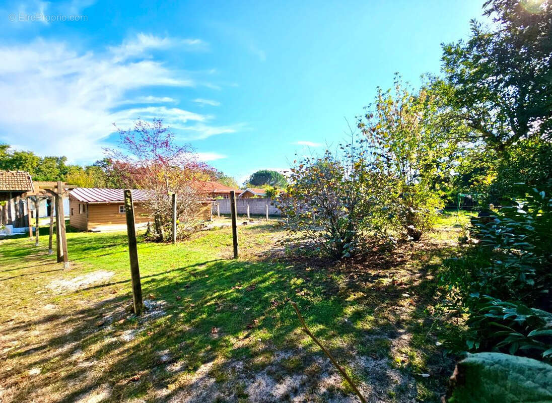 Terrain à LA TESTE-DE-BUCH