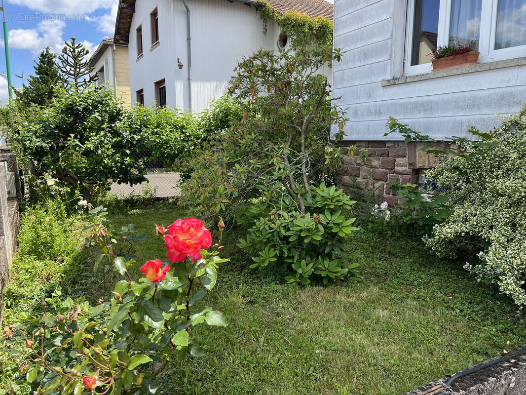 Maison à STEINBOURG