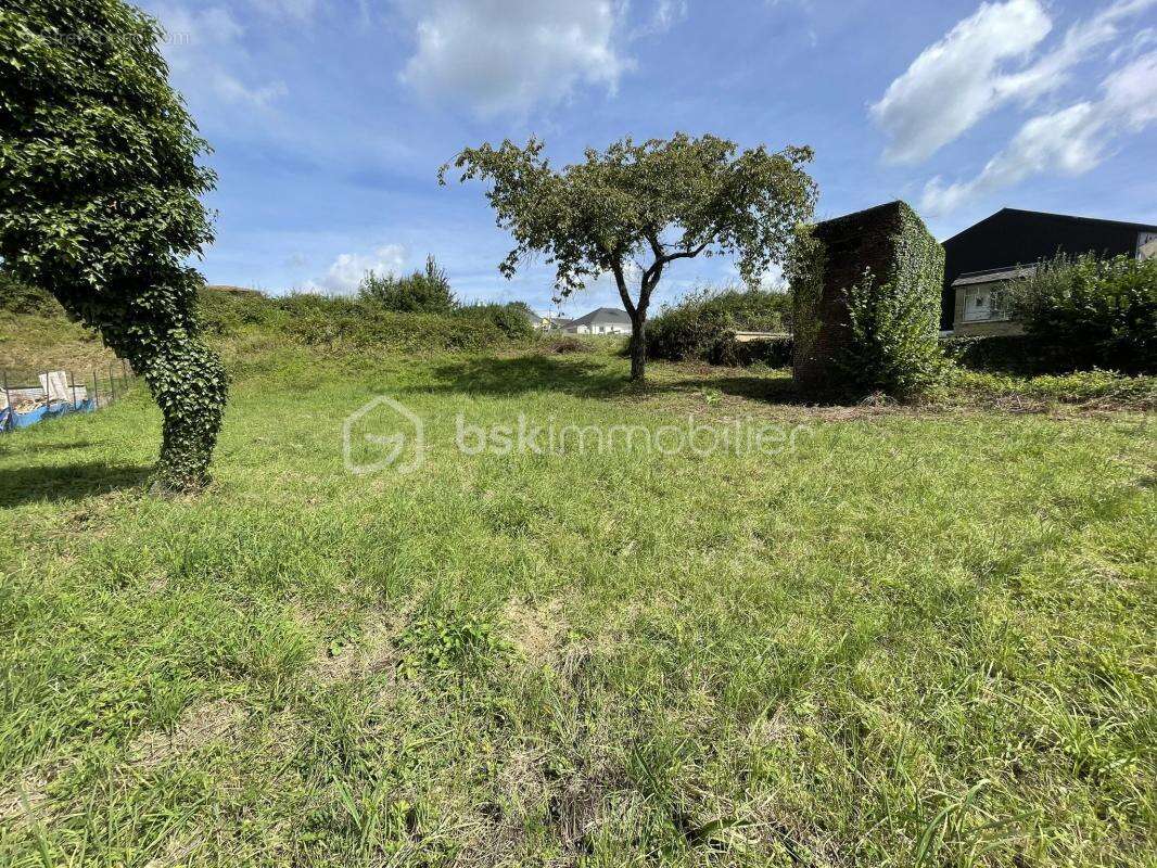 Terrain de 803 m² à Vrigne-Meuse - photo 2