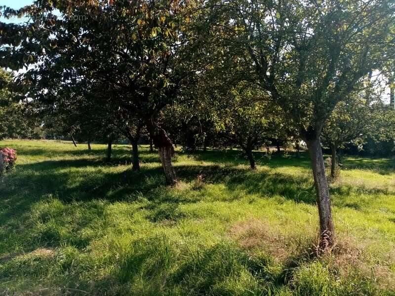 Maison à CANY-BARVILLE