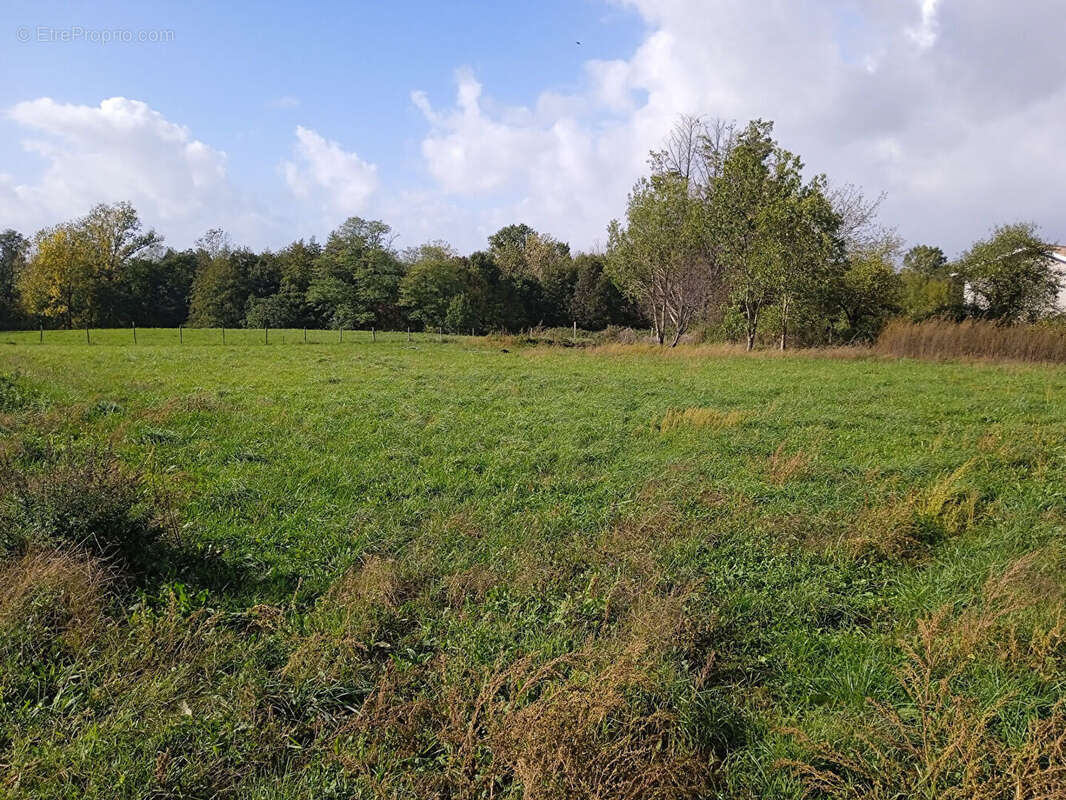 A vendre terrain à batir 1993 m2 viabilisé val-de-livenne - photo 2