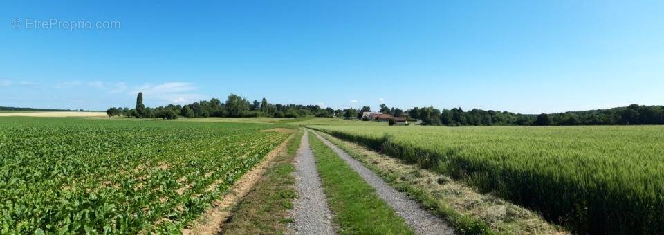 Terrain à BOULLAY-LES-TROUX