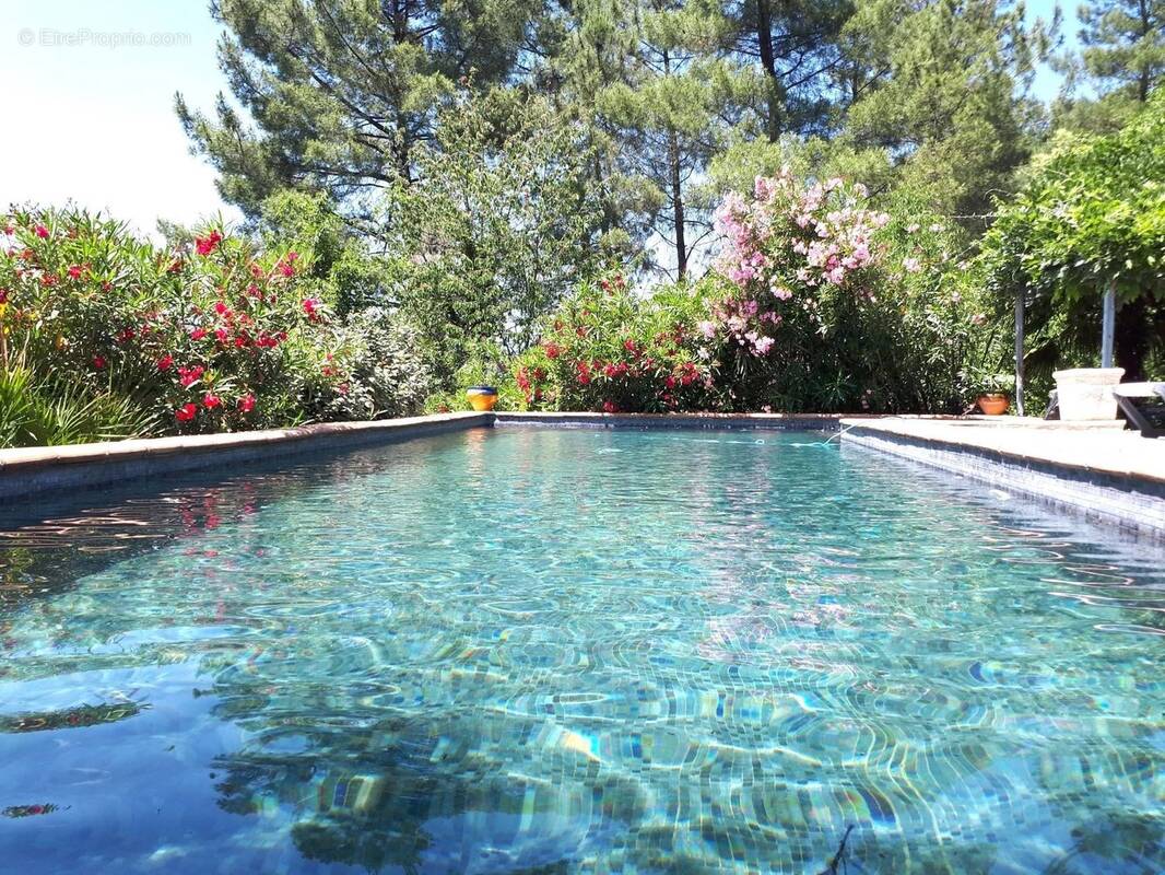 Maison à SAINT-PAUL-LE-JEUNE