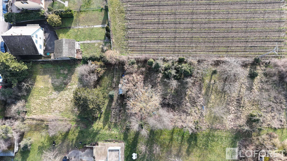 Terrain à ROUFFACH