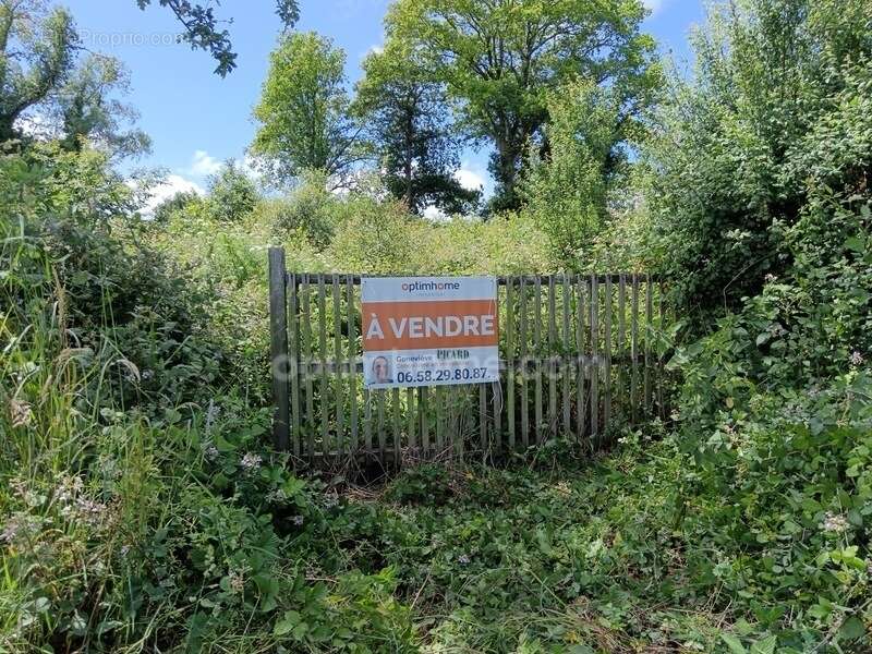 Terrain de loisirs de 2 300 m2  avec ancienne dépendance – Zone agricole – Crédin - photo 10