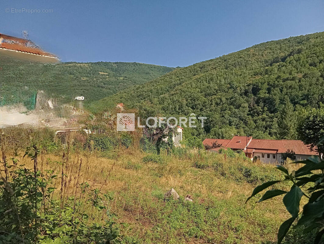 Terrain à PRATS-DE-MOLLO-LA-PRESTE