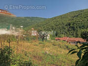 Terrain à PRATS-DE-MOLLO-LA-PRESTE