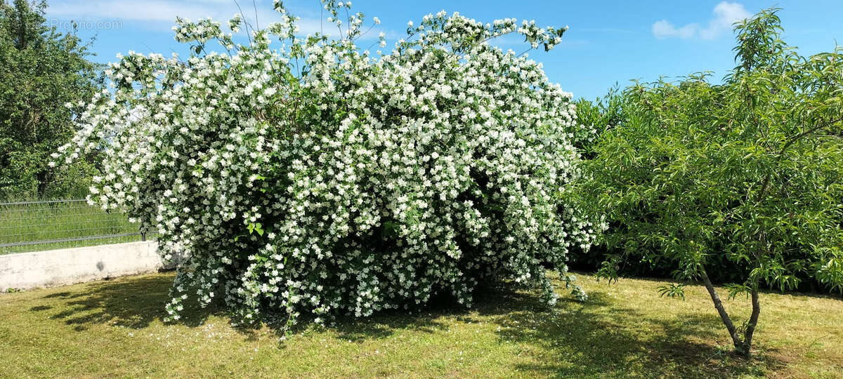 Maison à REHAINVILLER