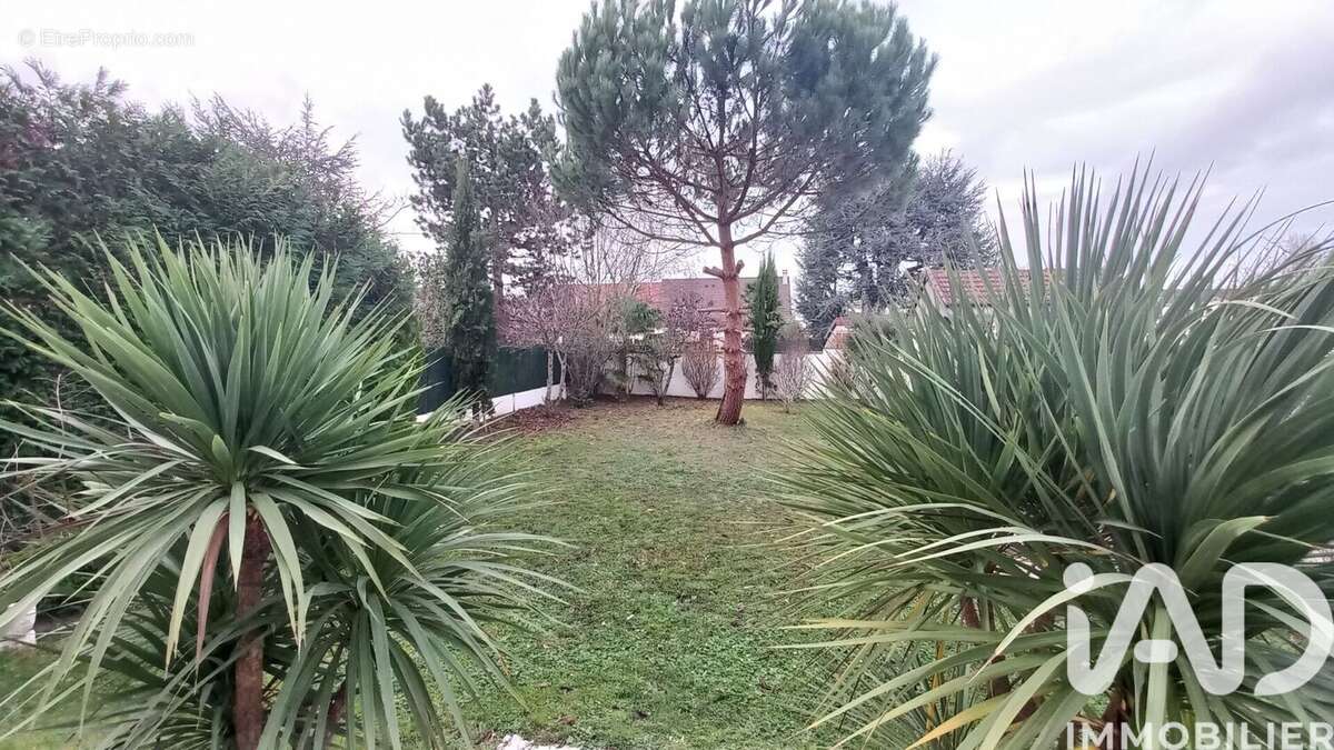 Photo 3 - Maison à CHAMPS-SUR-MARNE