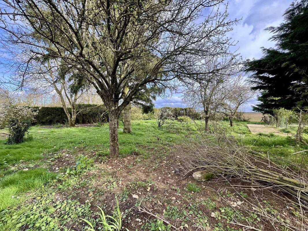 Terrain à BOINVILLE-LE-GAILLARD