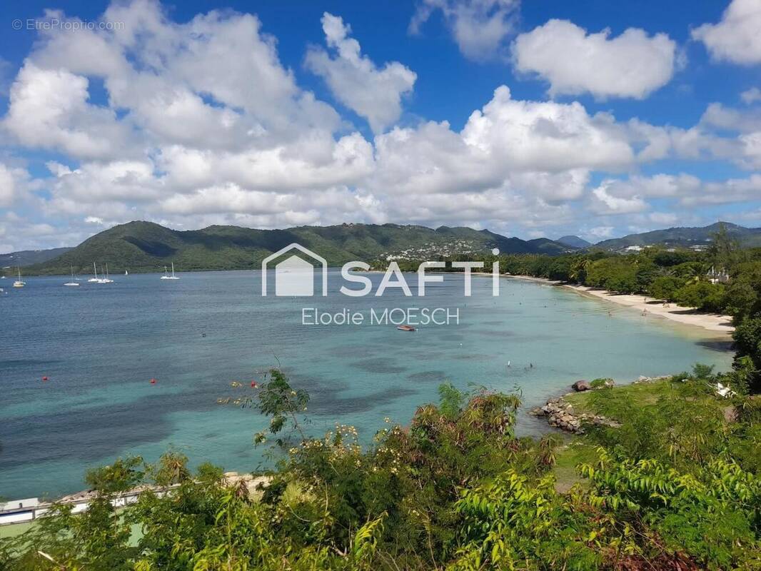 Photo 1 - Appartement à SAINTE-ANNE