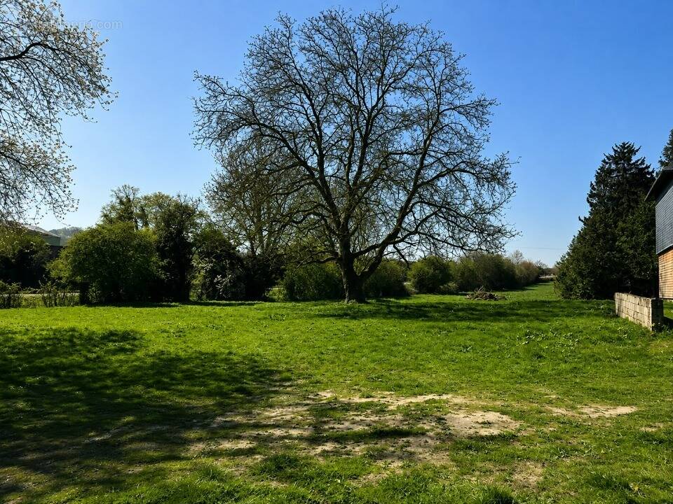 Terrain à BROCOURT