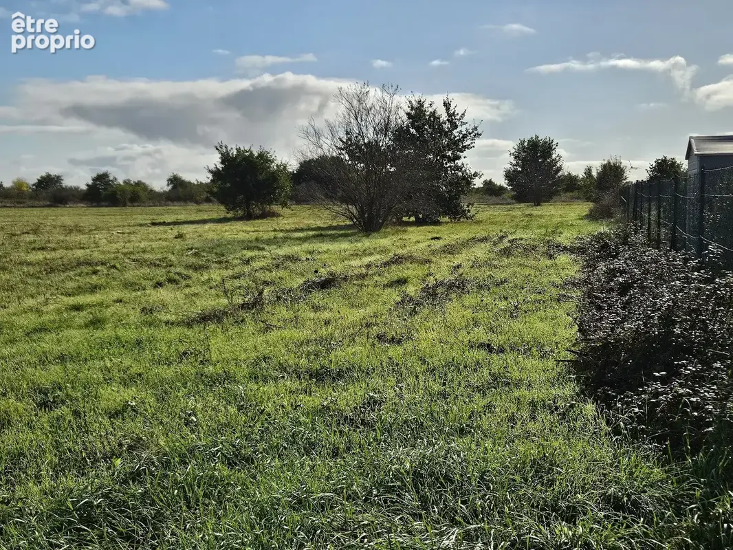 Seysses terrain - photo 6
