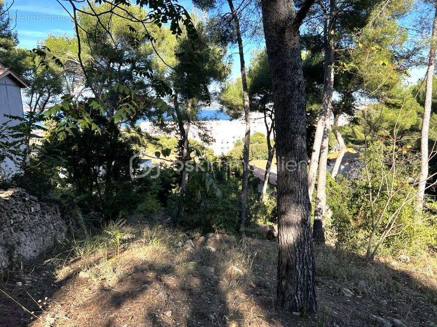 Terrain à SETE